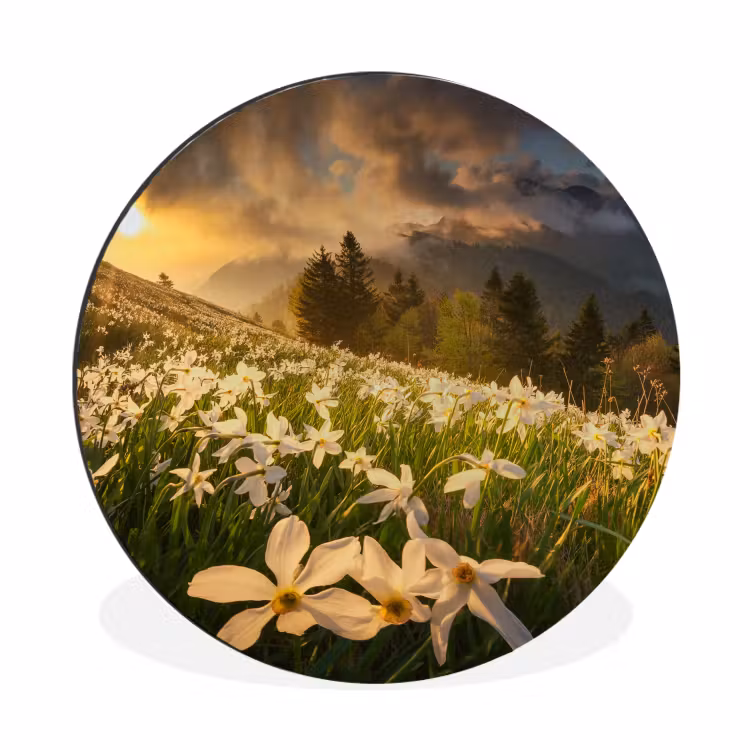 Bloemenveld - Heuvels - Zonsondergang - Berg - Natuur - Wit Wandcirkel aluminium klein -3d