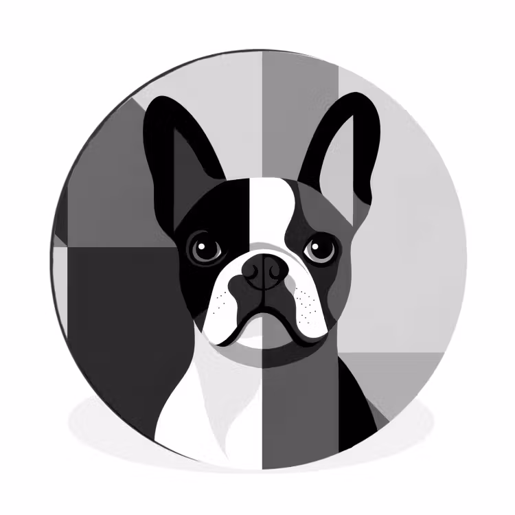 Buldog - Zwart - Abstract - Vlakken Wandcirkel aluminium klein -3d