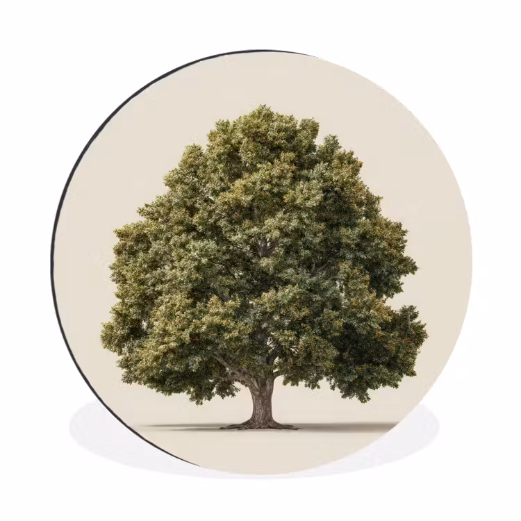 Eikenboom - Groen - Lichte achtergrond Wandcirkel aluminium klein -3d