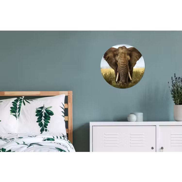 Olifant - Natuur - Gras - Dieren - Landschap Wandcirkel aluminium klein -slaapkamer