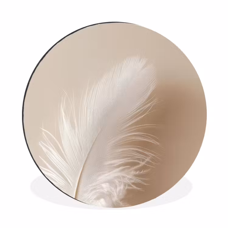 Veer - Minimalistisch - Roze Wandcirkel aluminium klein -3d