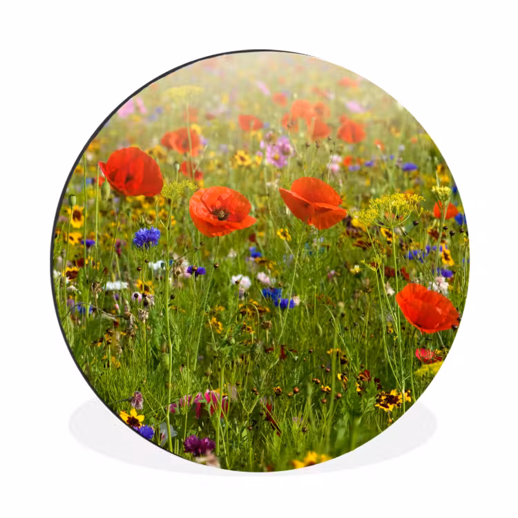 Lente - Bloemen - Rood - Klaproos - Gras - Groen Wandcirkel aluminium klein -3d