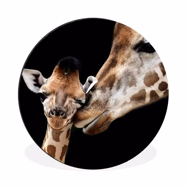 Giraffe - Dieren - Zwart - Portret - Dieren Wandcirkel aluminium klein -3d