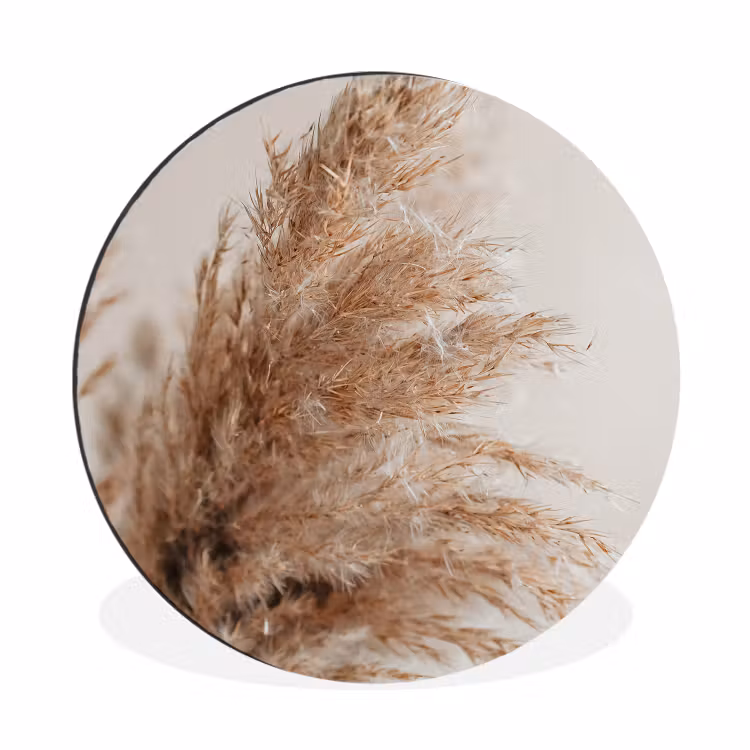 Gras - Planten - Natuur - Pampasgras Wandcirkel aluminium klein -3d