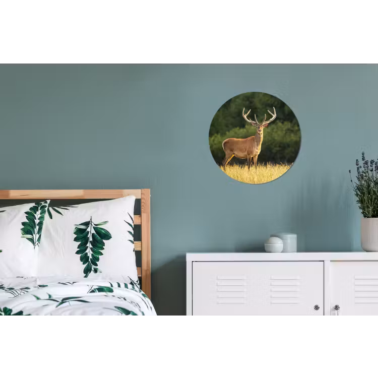 Hert - Gewei - Gras - Natuur - Dieren - Groen Wandcirkel aluminium klein -slaapkamer