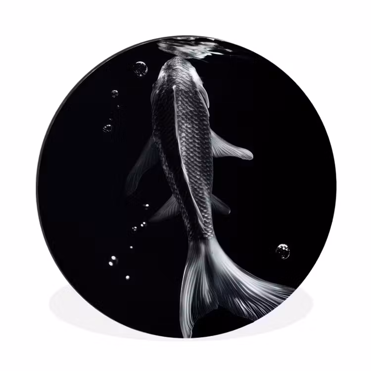 Koi - Vissen - Water - Zwart Wandcirkel aluminium klein -3d