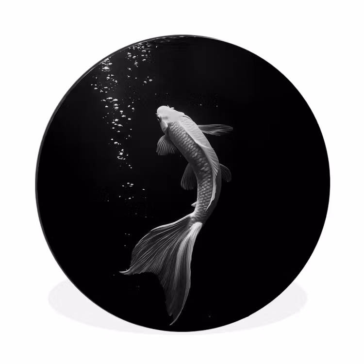 Koi - Vis - Wit - Zwart Wandcirkel aluminium klein -3d