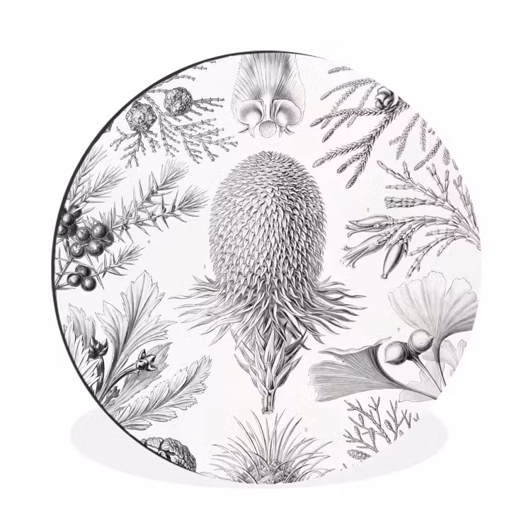 Tuinposter zwart wit - Ernst Haeckel - Kunst - Retro - Tuin Wandcirkel aluminium klein -3d