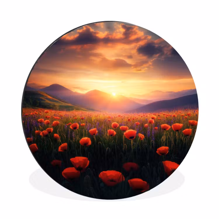 Landschap - Zonsondergang - Bloemenveld Wandcirkel aluminium klein -3d