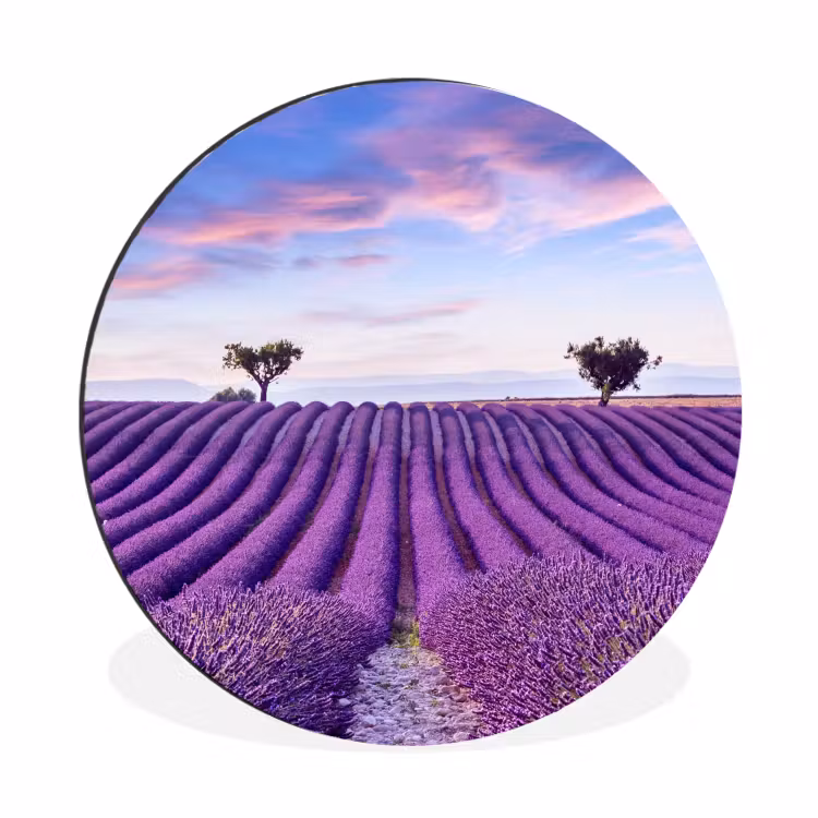 Lavendel - Natuur - Paars - Bomen Wandcirkel aluminium klein -3d