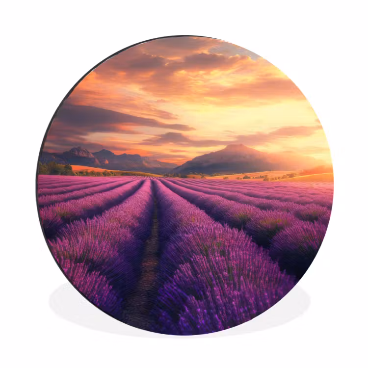 Lavendelveld - Zonsondergang - Paars Wandcirkel aluminium klein -3d