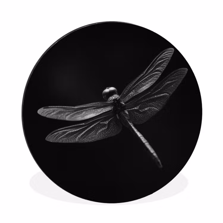 Libelle - Dieren - Zwart - Insect Wandcirkel aluminium klein -3d