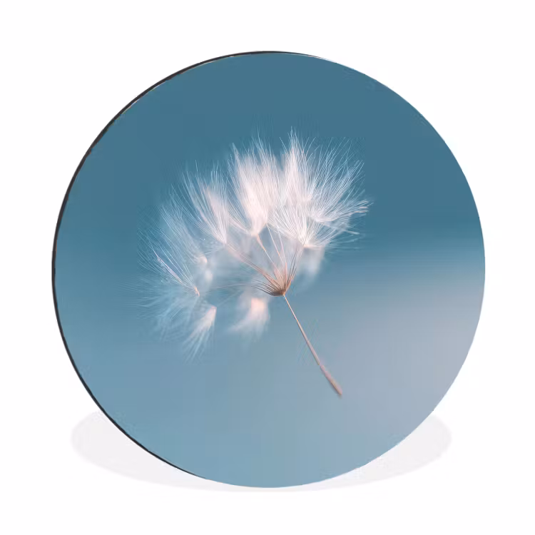 Paardenbloempluisje - Blauw - Lucht Wandcirkel aluminium klein -3d