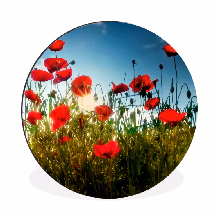 Klaprozen - Toscane - Zon - Rood - Blauw Wandcirkel aluminium klein -3d