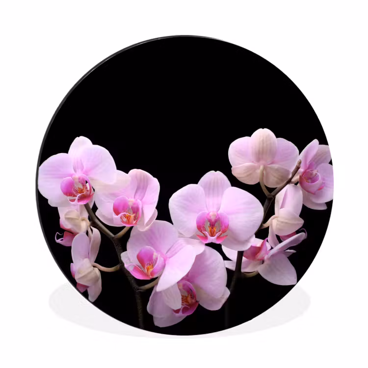 Orchidee - Bloemen - Roze - Flora Wandcirkel aluminium klein -3d