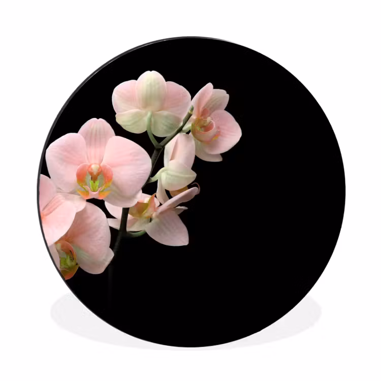 Orchidee - Bloemen - Roze - Stilleven - Flora Wandcirkel aluminium klein -3d