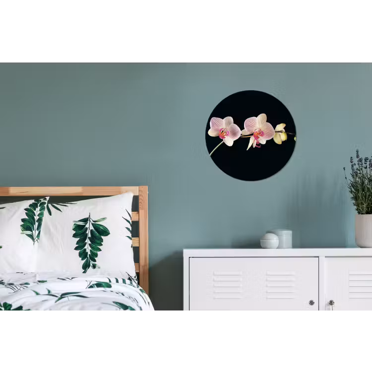 Orchidee - Bloemen - Zwart - Roze - Knoppen Wandcirkel aluminium klein -slaapkamer