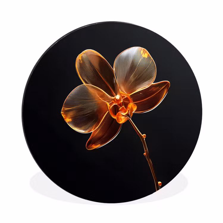 Orchidee - Doorzichtig - Bloem Wandcirkel aluminium klein -3d