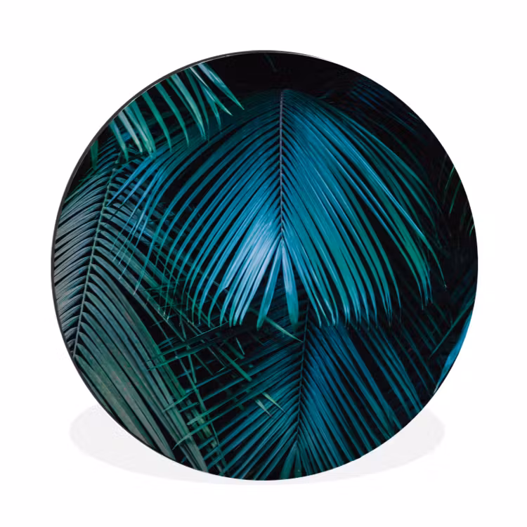Palmblad - Tropisch - Natuur - Jungle Wandcirkel aluminium klein -3d