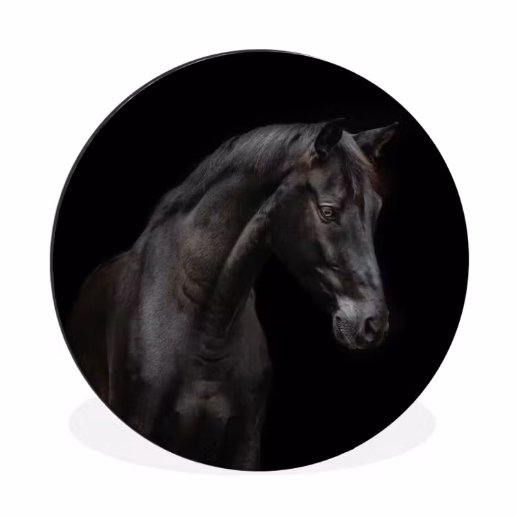 Paard - Dieren - Zwart - Portret Wandcirkel aluminium klein -3d