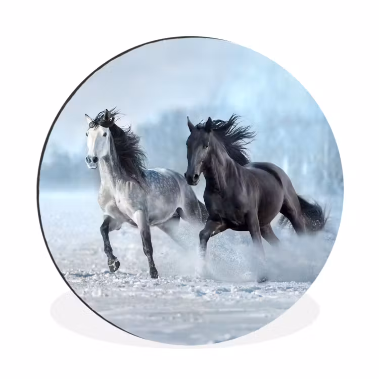 Paarden - Winter - Dieren - Natuur - Sneeuw Wandcirkel aluminium klein -3d