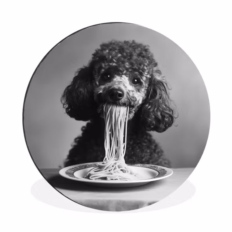 Poedel - Hond - Zwart - Wit - Schattig - Pasta Wandcirkel aluminium klein -3d