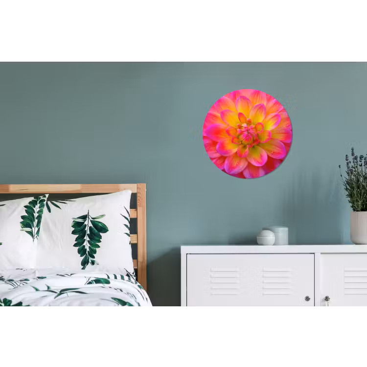 Roze - Dahlia - Kleurrijk Wandcirkel aluminium klein -slaapkamer