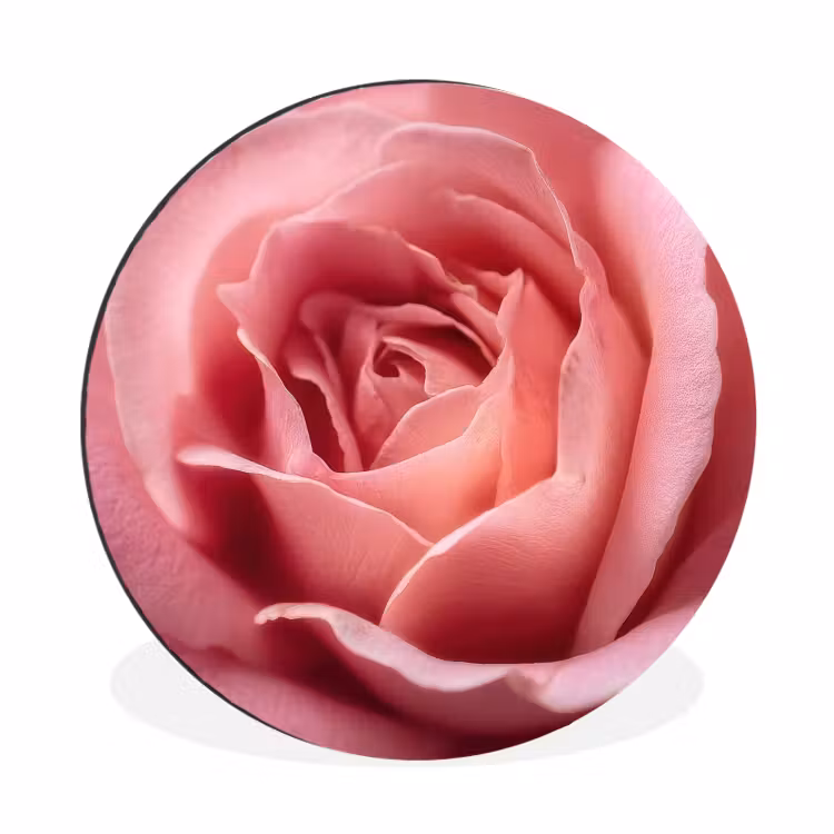 Roze - Roos - Romantisch Wandcirkel aluminium klein -3d