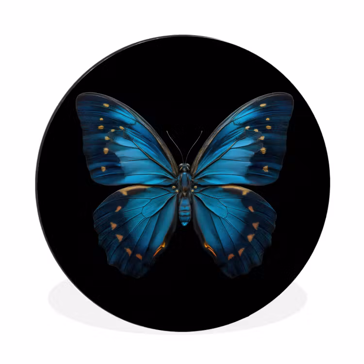 Vlinder - Blauw - Contrast Wandcirkel aluminium klein -3d