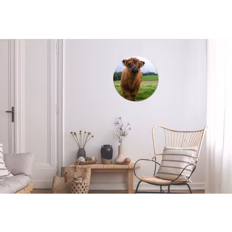 Schotse hooglander - Koeien - Natuur - Groen - Gras Wandcirkel aluminium klein -woonkamer