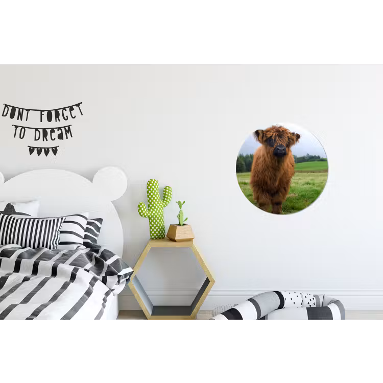Schotse hooglander - Koeien - Natuur - Groen - Gras Wandcirkel aluminium klein -kinderkamer