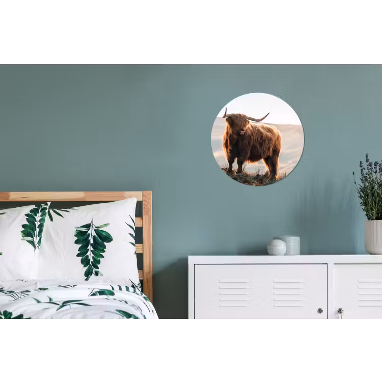 Schotse hooglander - Dieren - Landelijk - Landschap - Koe - Natuur Wandcirkel aluminium klein -slaapkamer