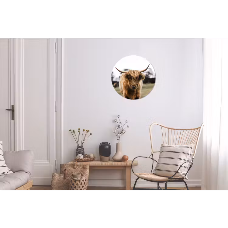 Schotse Hooglander - Koe - Gras - Dieren - Natuur Wandcirkel aluminium klein -woonkamer