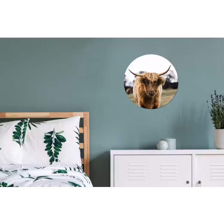 Schotse Hooglander - Koe - Gras - Dieren - Natuur Wandcirkel aluminium klein -slaapkamer