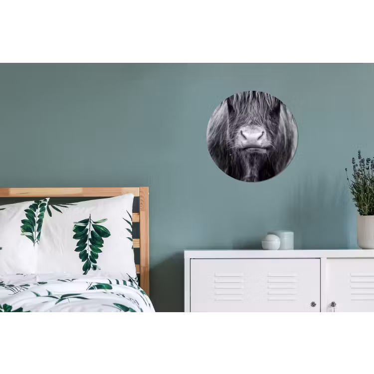 Schotse hooglander - Koe - Zwart - Wit - Dieren Wandcirkel aluminium klein -slaapkamer