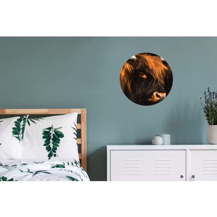 Schotse hooglander - Zwart - Koe - Hoorn - Dieren Wandcirkel aluminium klein -slaapkamer