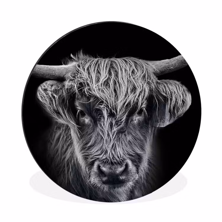 Schotse hooglander - Zwart - Koe - Dieren Wandcirkel aluminium klein -3d