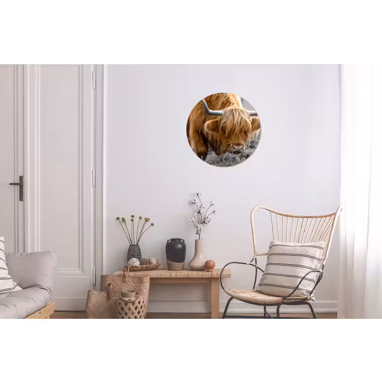 Schotse Hooglander - Dieren - Bruin - Koe - Zwart - Wit - Natuur Wandcirkel aluminium klein -woonkamer