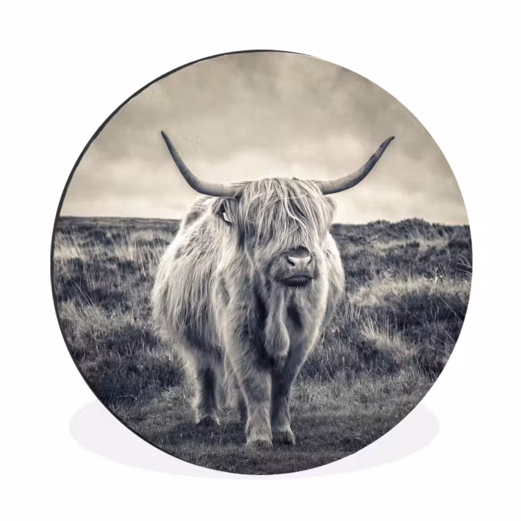Schotse hooglander - Dieren - Wolken - Koe - Natuur Wandcirkel aluminium klein -3d