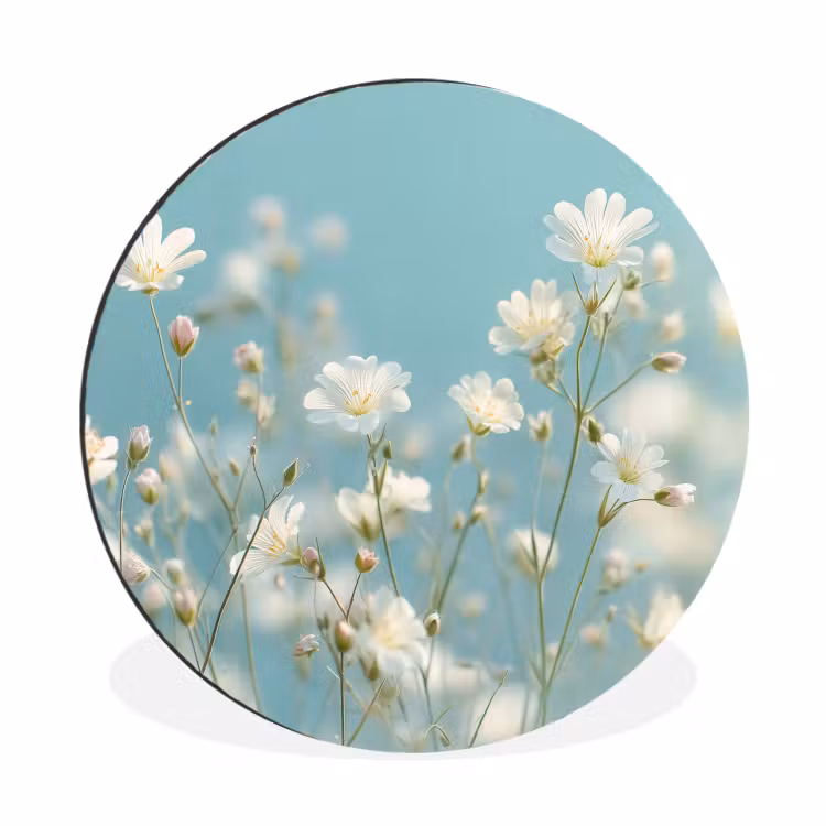 Stengels - Bloemen - Lucht - Wit Wandcirkel aluminium klein -3d