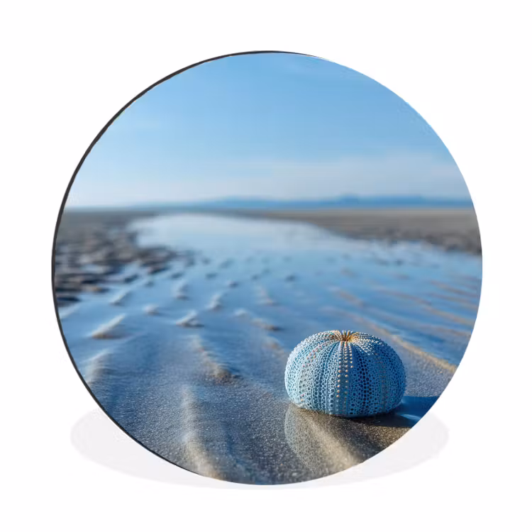 Strand - Schild - Water - Blauw Wandcirkel aluminium klein -3d