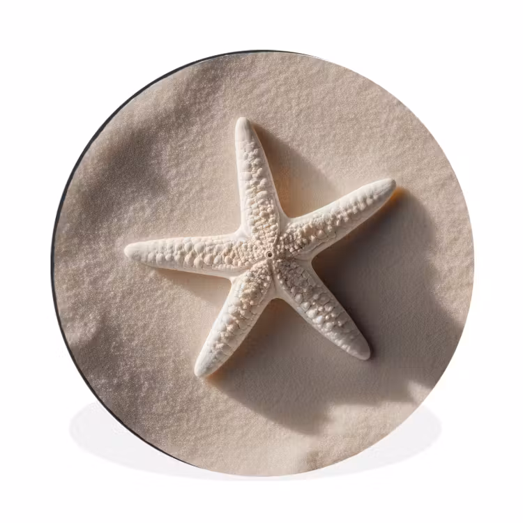 Strand - Zeester - Zand - Beige Wandcirkel aluminium klein -3d
