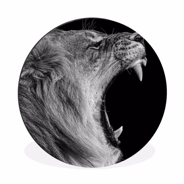 Dieren - Leeuw - Zwart - Wit - Portret Wandcirkel aluminium klein -3d