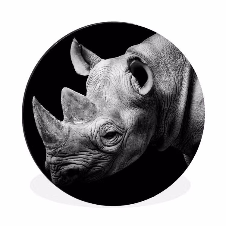 Dieren - Neushoorn - Zwart - Wit - Portret Wandcirkel aluminium klein -3d