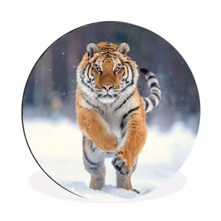 Tijger - Landschap - Sneeuw - Winter - Dieren Wandcirkel aluminium klein -3d