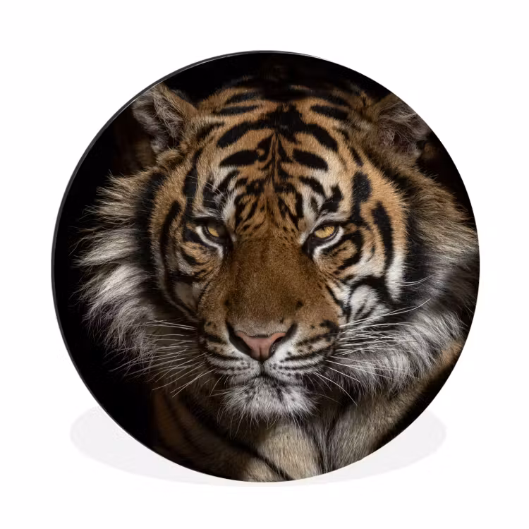 Tijger - Wilde dieren - Portret Wandcirkel aluminium klein -3d