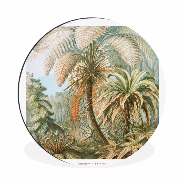 Filicinae - Tuindecoratie - Tuinposter - Vintage - Oude meesters Wandcirkel aluminium klein -3d