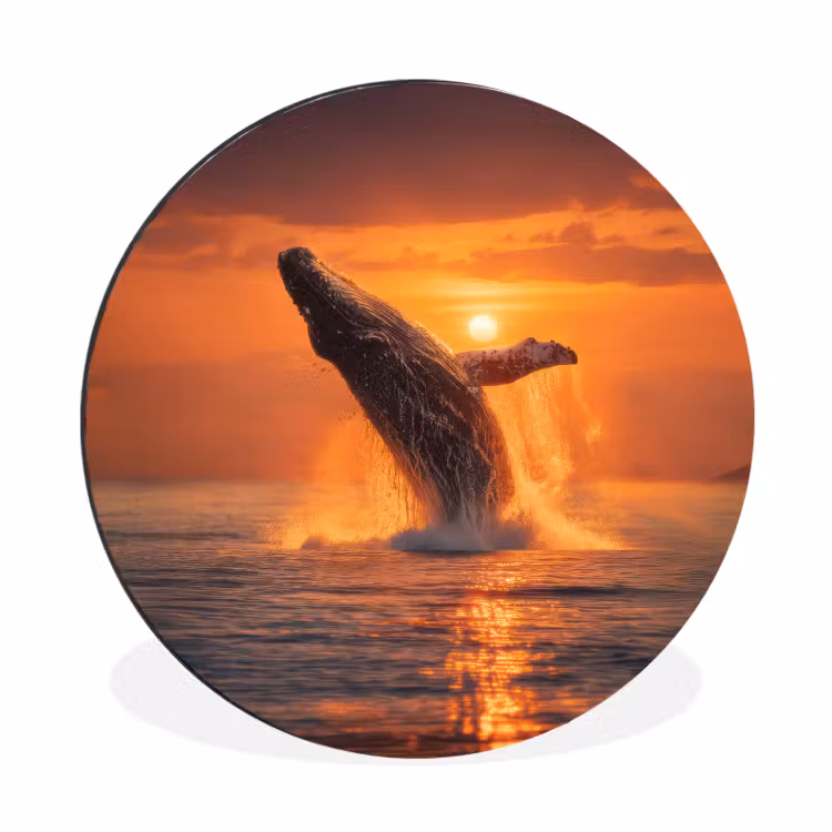Walvis - Zon - Zee Wandcirkel aluminium klein -3d