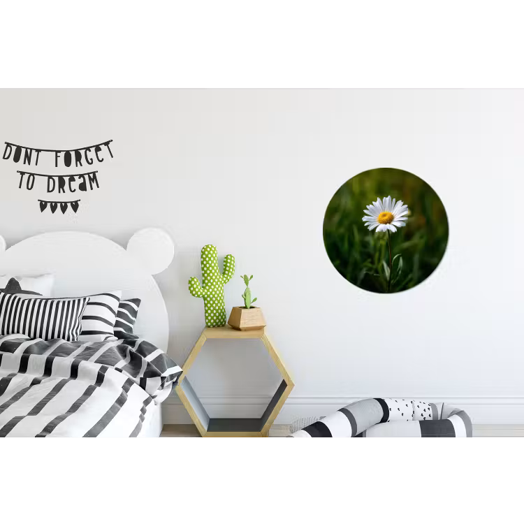 Wit - Madeliefje - Bloem - Gras Wandcirkel aluminium klein -kinderkamer