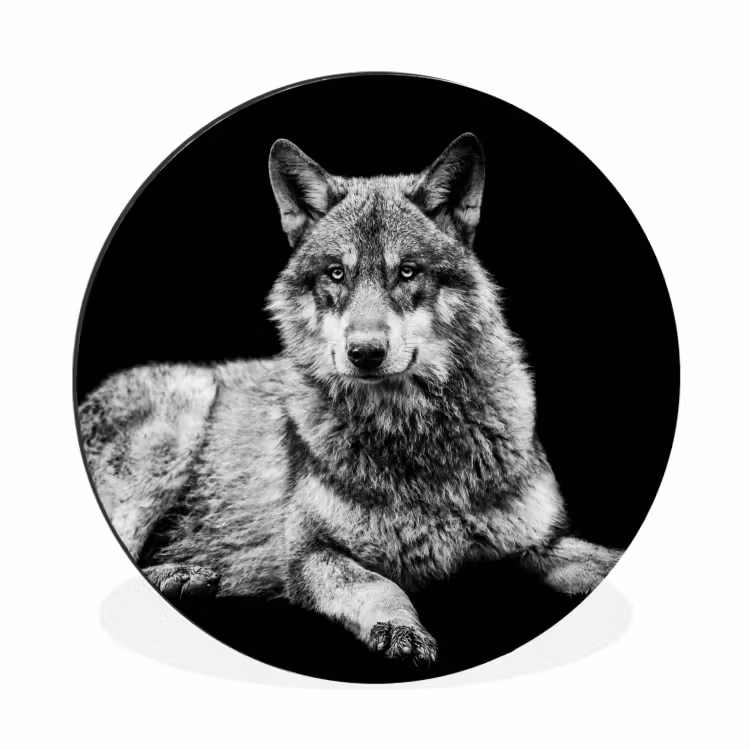 Wilde dieren - Wolf - Zwart - Wit Wandcirkel aluminium klein -3d